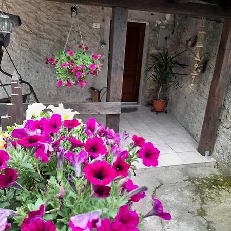 Nyaraló Alloro Mangia