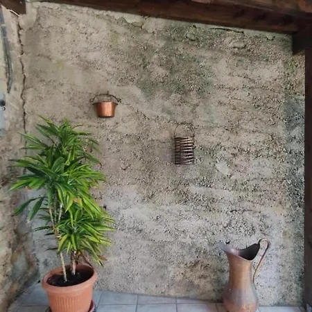 Alloro Mangia