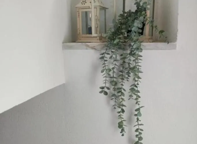別荘 Casa Vacanze Alloro